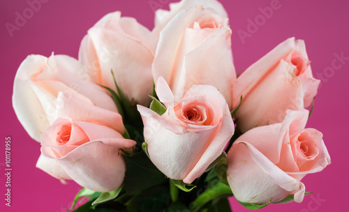 Beautiful roses for Valentines day.