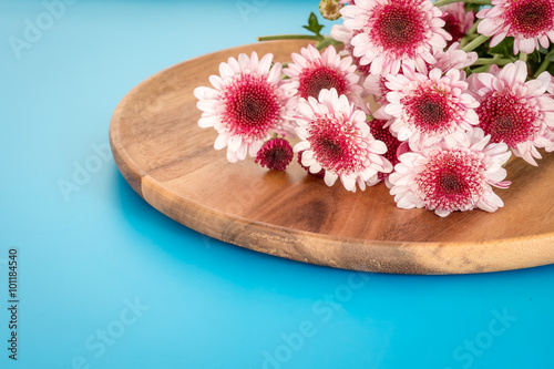 chrysanthemums flowers on wooden plate