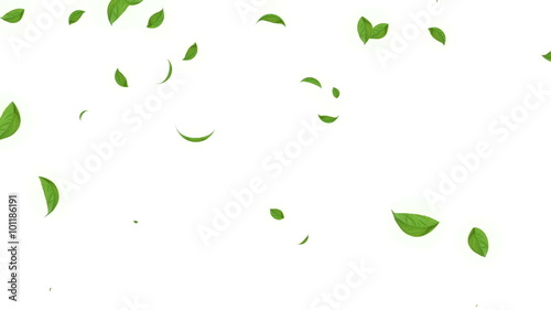HD Loopable Falling Leaves Animation
