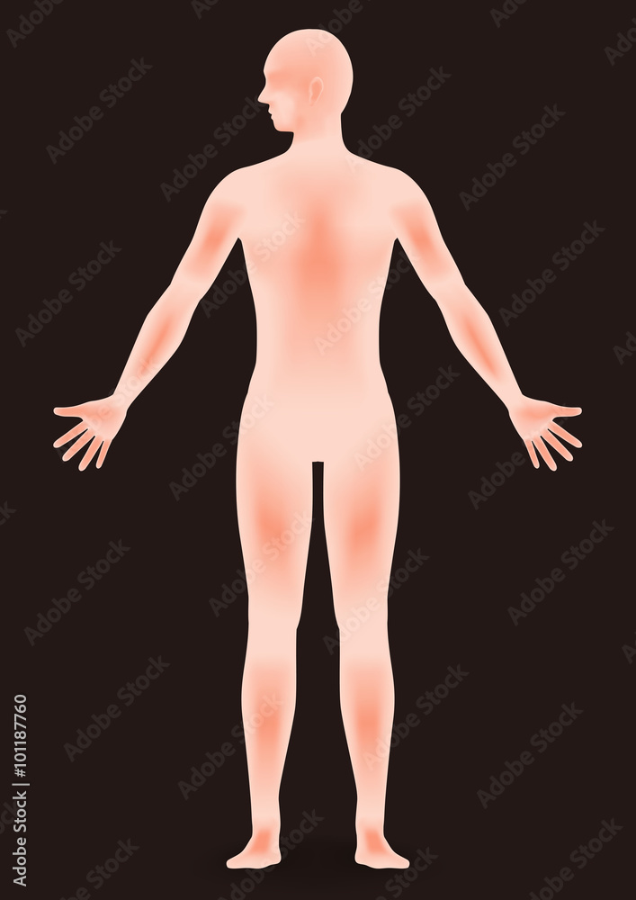 Naklejka premium human body silhouette, face as seen from the side, vector illustration