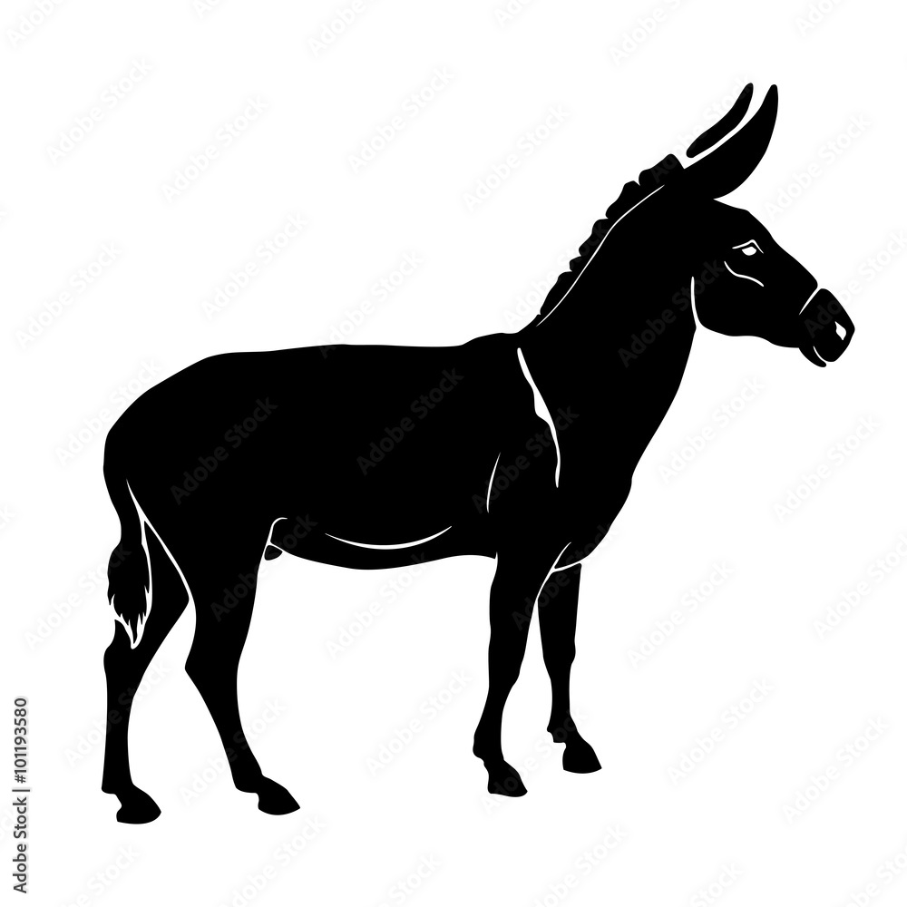 vector illustration donkey silhouette black white