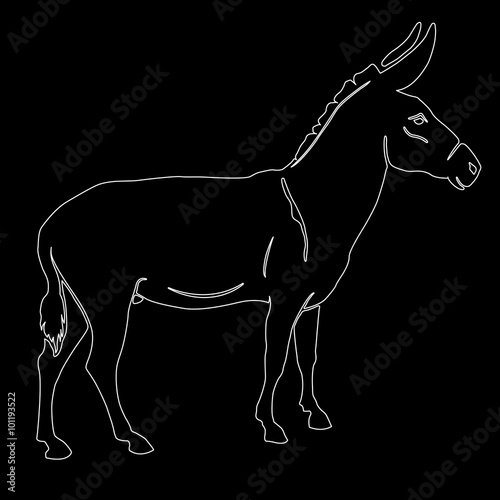 vector illustration donkey silhouette black white