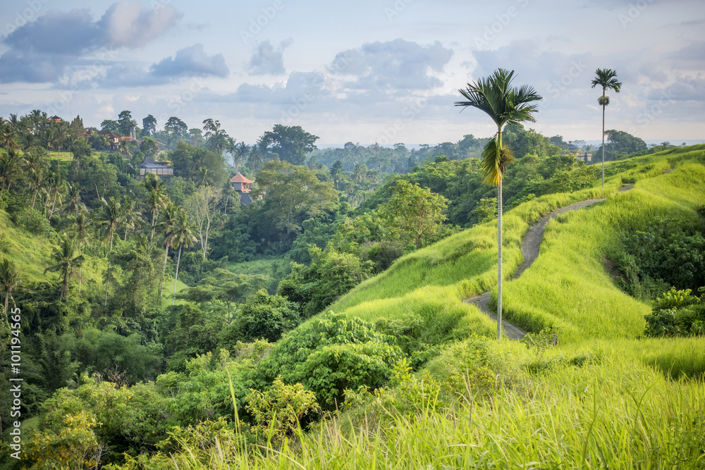 Ubud Bali