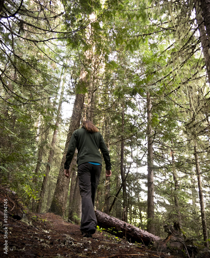 Naklejka premium Woman Hiking Through The Woodland Wilderness