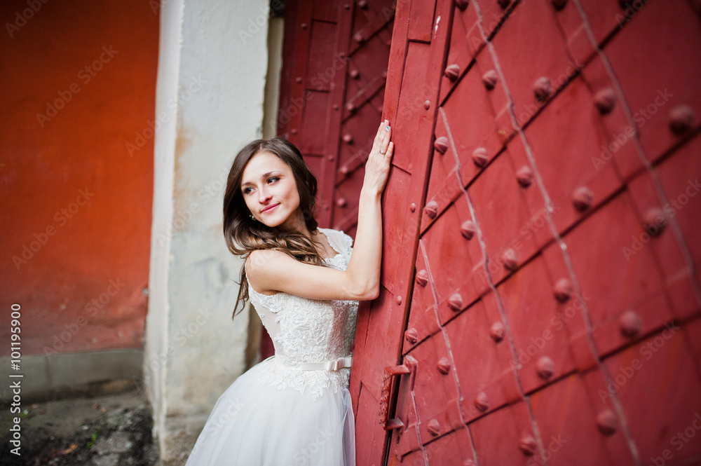 Fototapeta premium Bride posed near steel gate