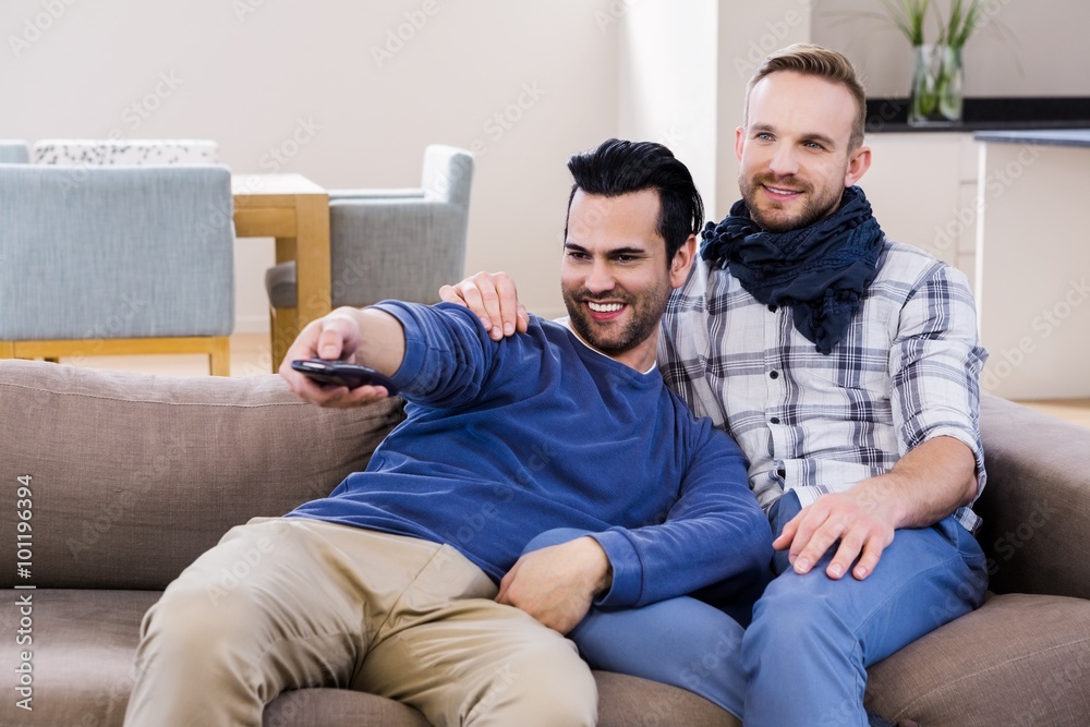 Gay couple watching television