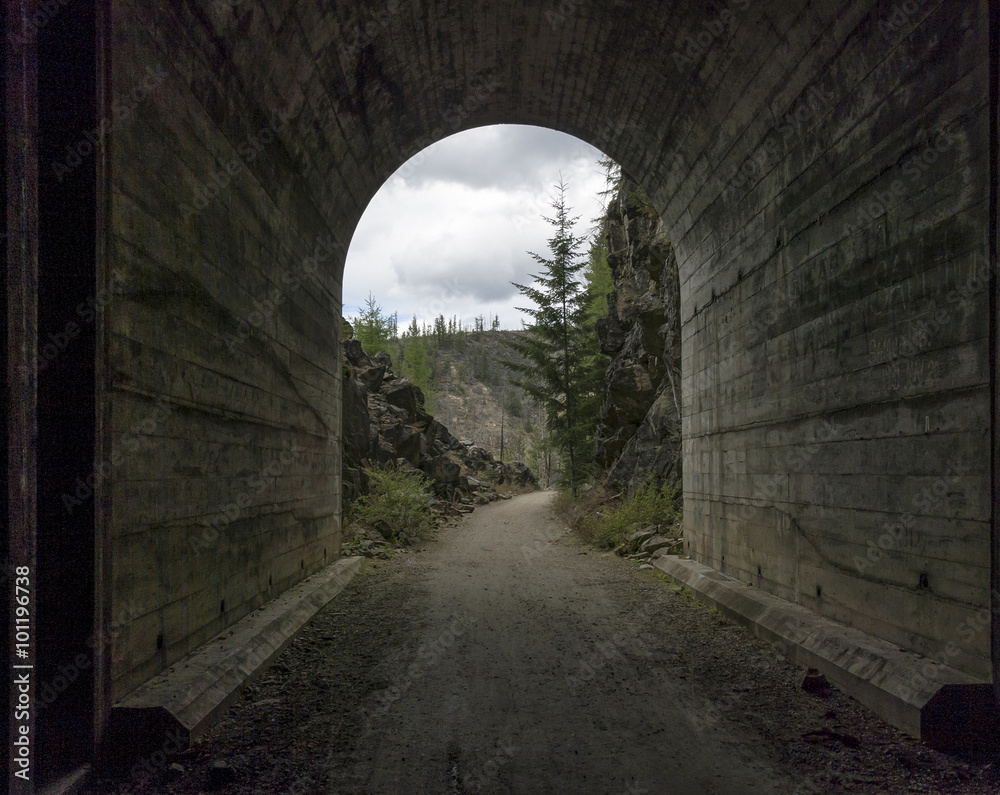 Fototapeta premium View from Inside Decommissioned Train Tunnels
