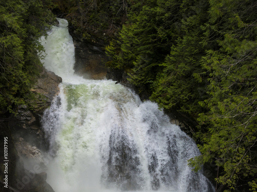 Fast Flowing  Crazy Creek  in British Columbia  Canada