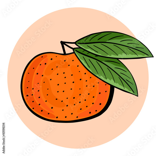 Hand drawn tangerine with green leaves