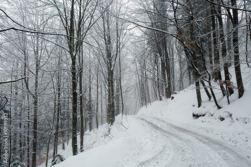 Winter woods panorama in Beskidy © sitriel