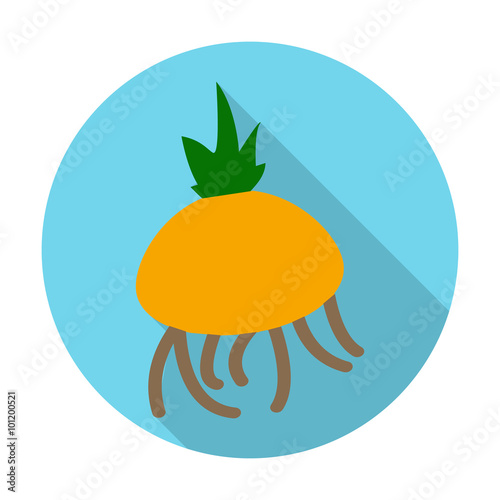  onion flat icon with long shadow for web