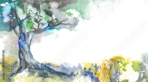watercolor tree on a white background