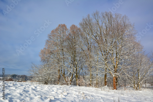 Witer country landscape in Poland