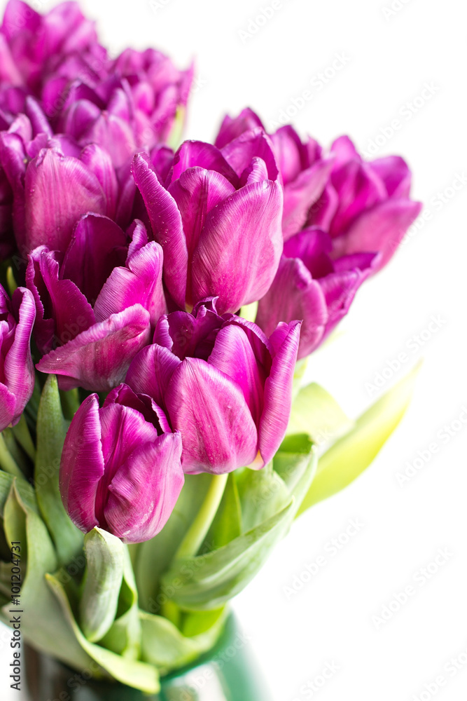 Bouquet of purple tulips Bouquet of purple tulips