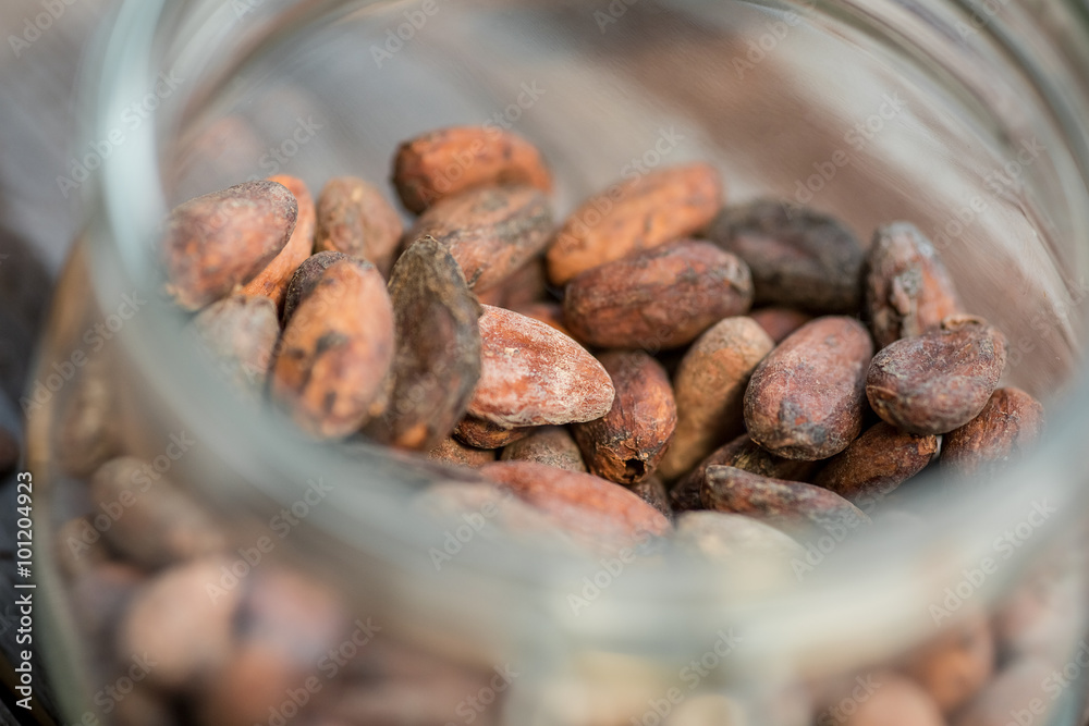 raw cocoa beans raw cocoa beans