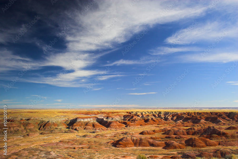 Fototapeta premium Painted desert