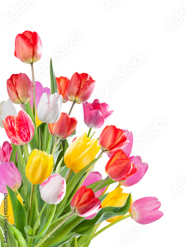 Fototapeta Naklejka Na Ścianę i Meble -  Beautiful bouquet of flowers tulip isolated on white background