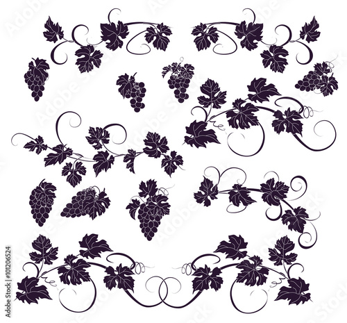 Vector design elements in vintage style with vines.