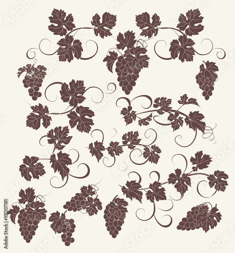 Vector design elements in vintage style with vines.