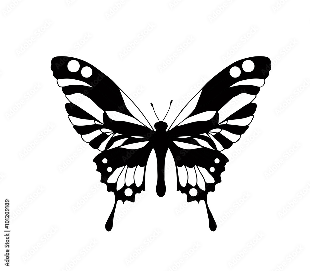 Hand drawn ornamental butterfly outline illustration Stock Vector ...