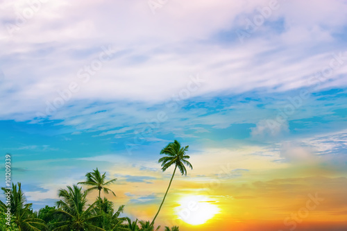 Fototapeta Naklejka Na Ścianę i Meble -  beautiful sunrise and tropical palms