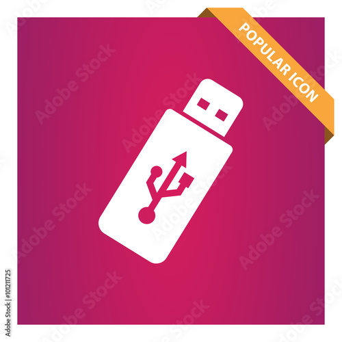 USB icon. Flash drive symbol