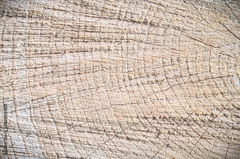 Fototapeta premium wood