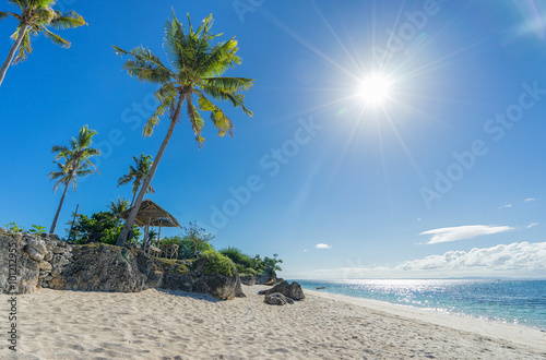 Beautiful tropical islands beach  with stones and palms with shining sun