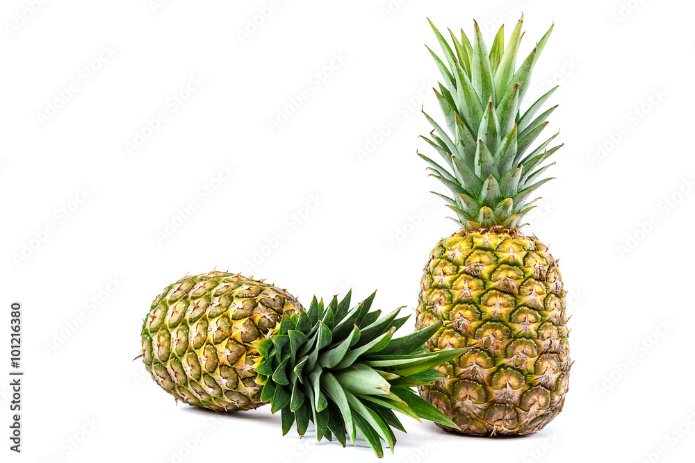 Fresh pineapple fruit on a white background. Fresh pineapple fruit on a white background.
