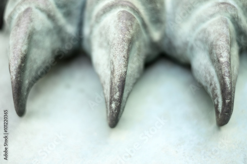 claw