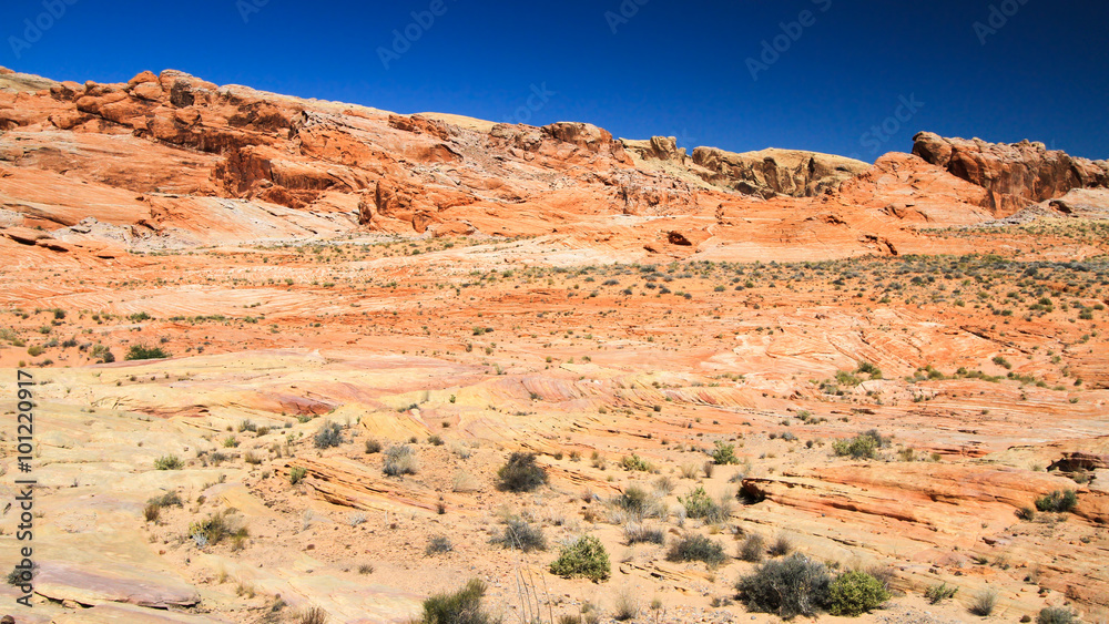 Nevada Valley of Fire