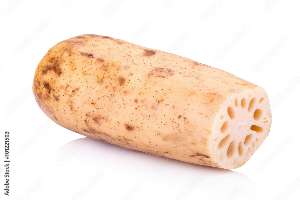 Lotus root on white background Lotus root on white background