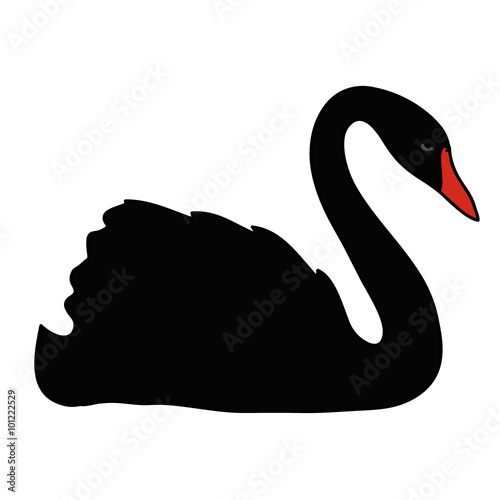 Black vector swan