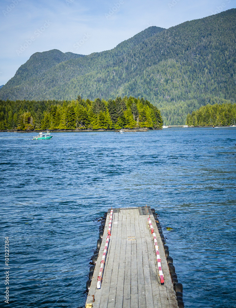 Empty Boat or Float Plane Dock in the Mountains