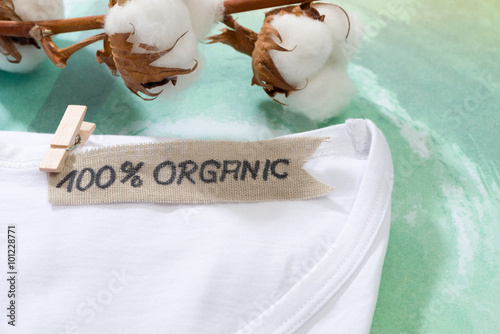 T-shirt made of natural fabrics and branch with cotton blossoms