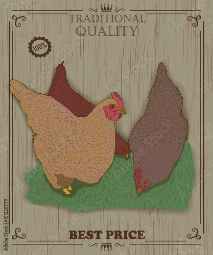 Vintage badge with Rooster. Vector illustration.