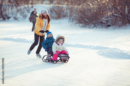 Family walking in a winter park. Child on sled.