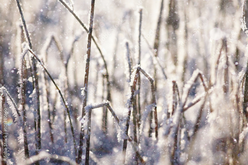 texture of frost crystals background