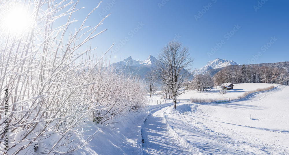 Obraz premium Berchtesgaden im Winter, Wanderweg, Bayern, Deutschland