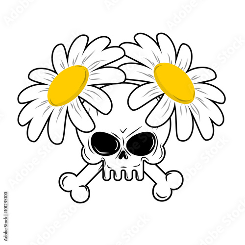 Skull and flowers. Bones in camomiles. Death and lovely white fl