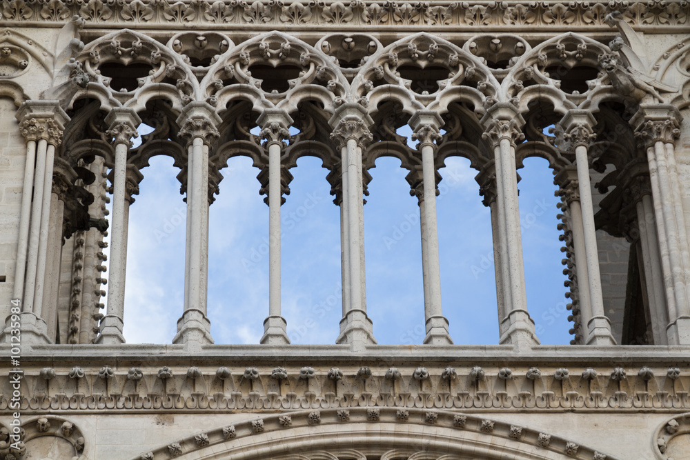 Notre Dame de Paris Cathedral.Paris. France