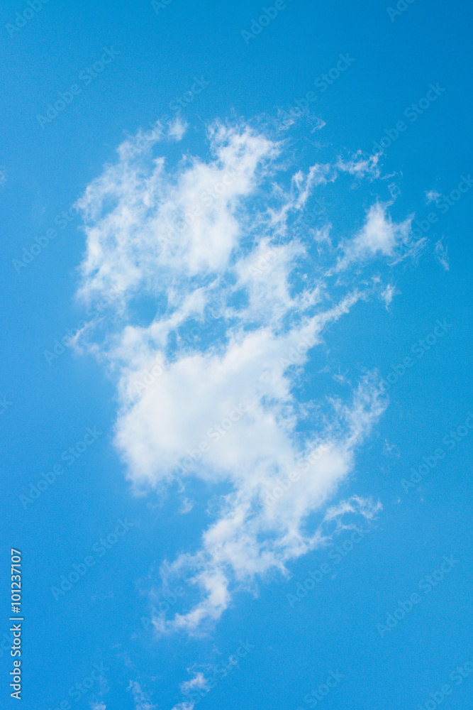 Vertical blue sky background with fluffy cloud