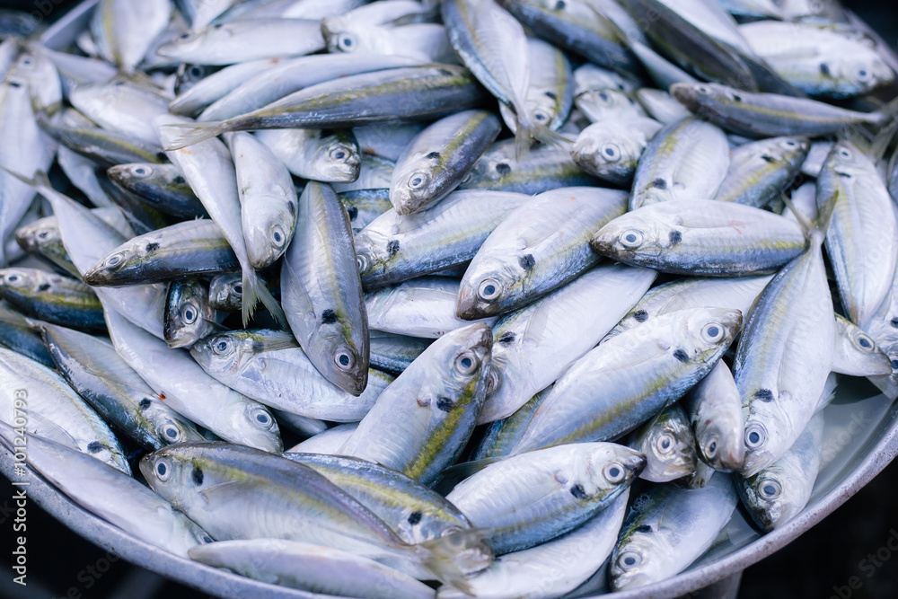 Obraz premium Fresh fishes in a market.