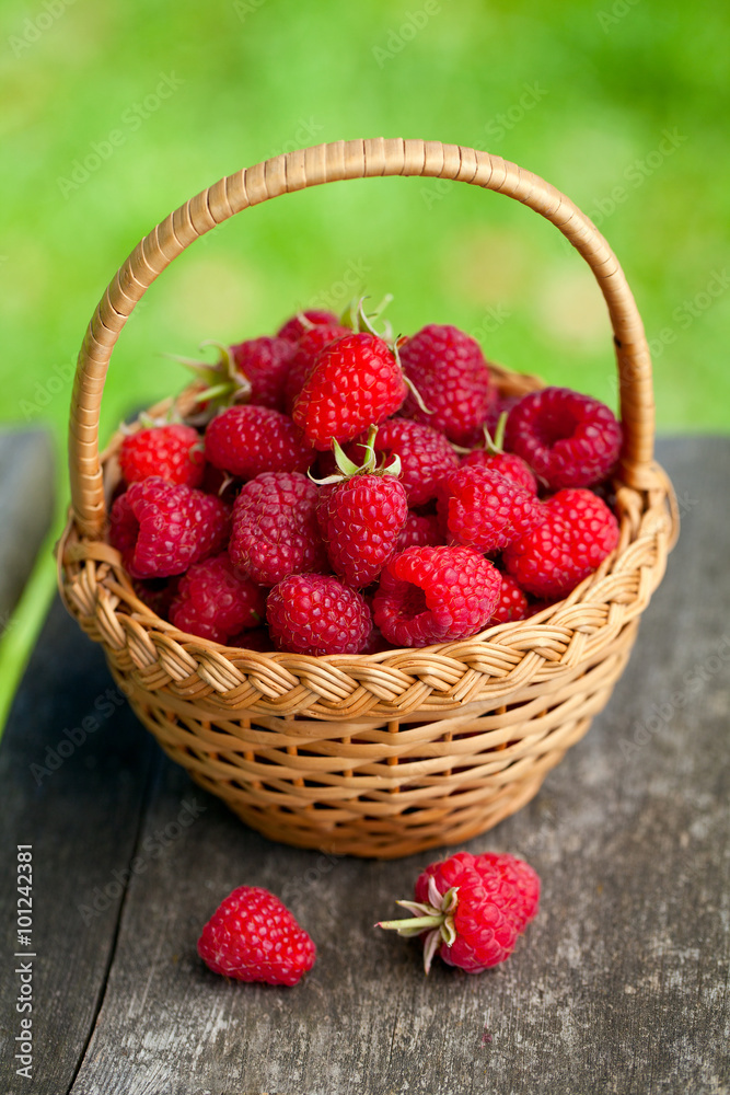 raspberries in basket raspberries in basket