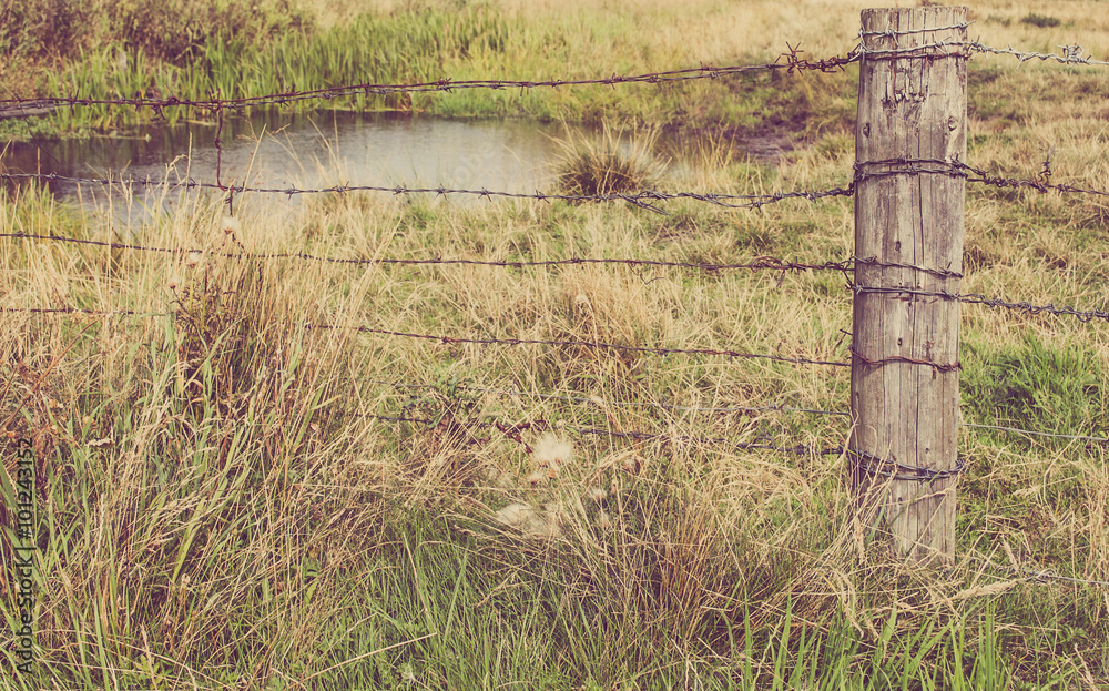 Fence with wooden pole and barbed wire. Focus on wooden pole. Fence with wooden pole and barbed wire. Focus on wooden pole.