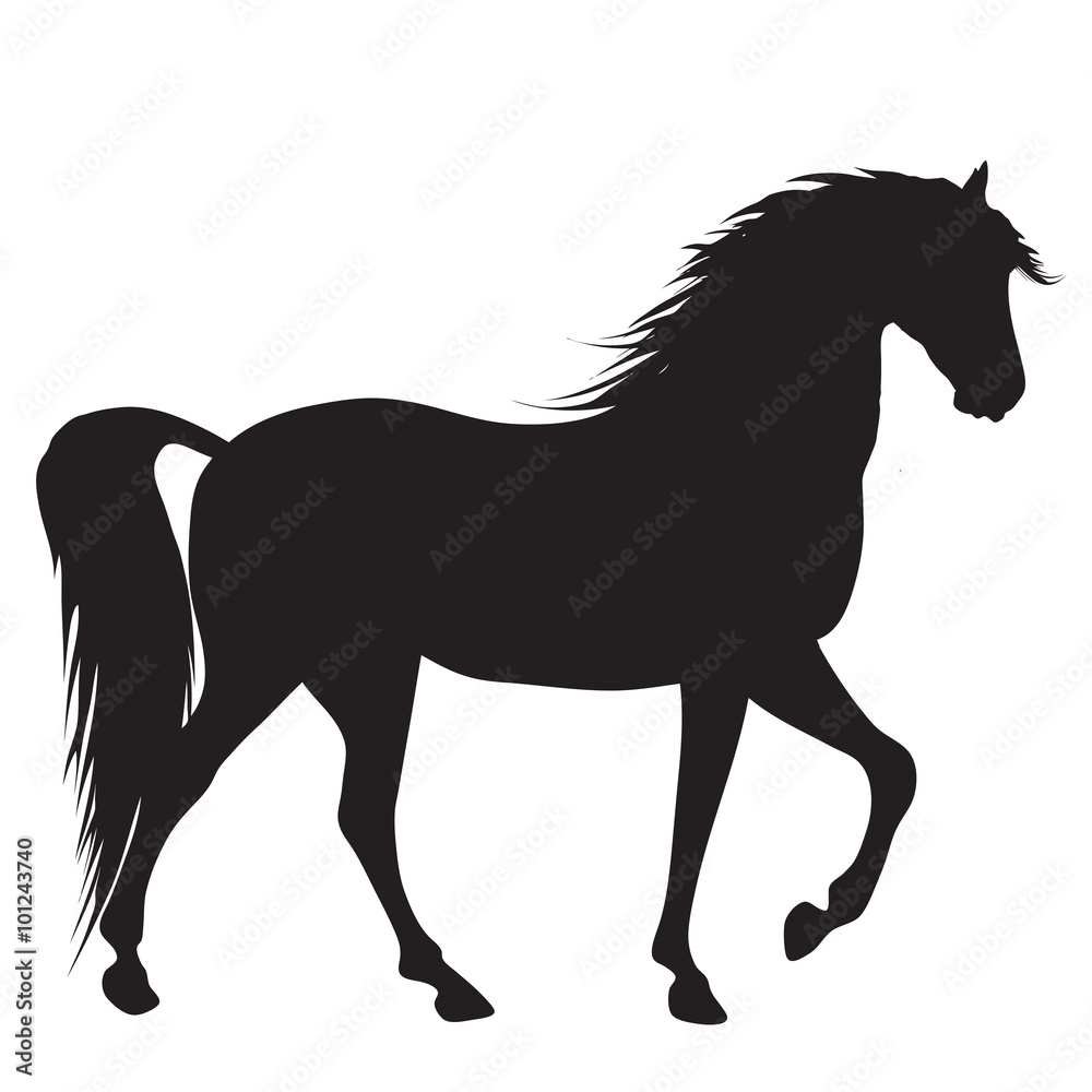 black horse silhouette 