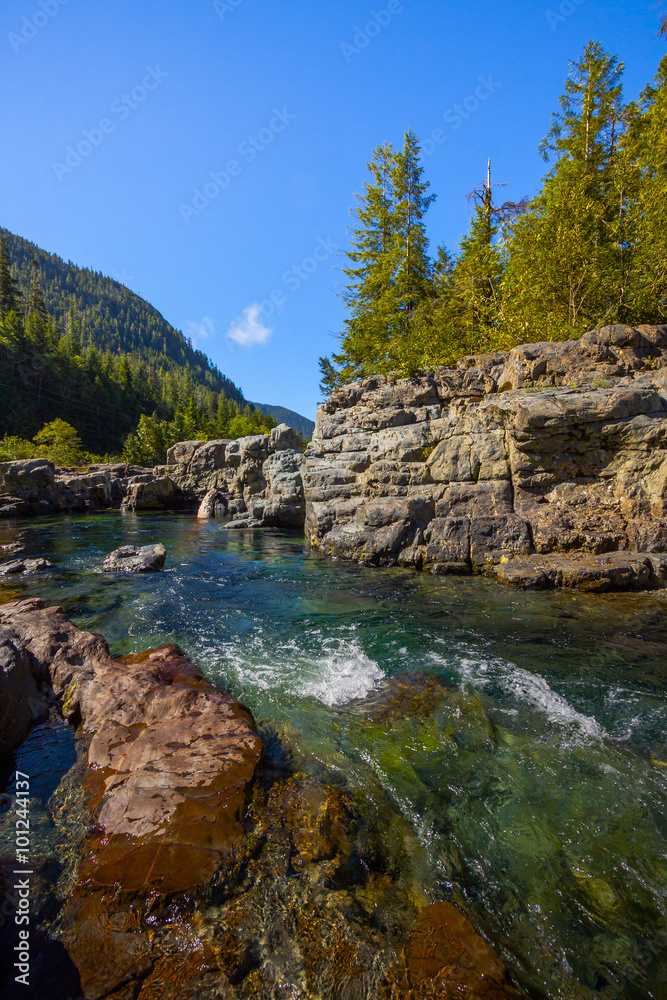 View Near Ellis Creek On Vancouver Island