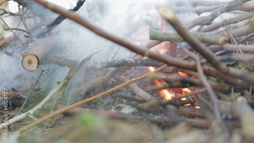 The fire of dry branches