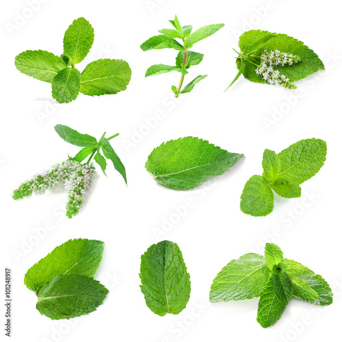 Collage with set of fresh mint, isolated on white