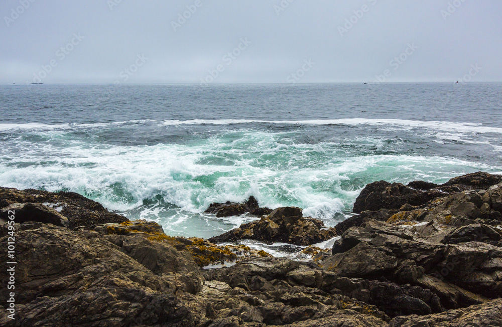 Rocky Coastline of Pacific Ocean where Waves Hit Shore